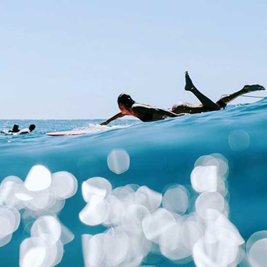 Dewey Weber Surfboards